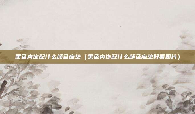 黑色内饰配什么颜色座垫（黑色内饰配什么颜色座垫好看图片）