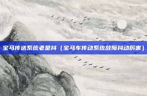 宝马传送系统老是抖（宝马车传动系统故障抖动厉害）