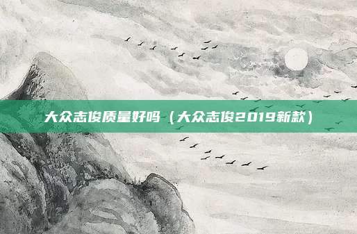 大众志俊质量好吗(大众志俊2019新款)