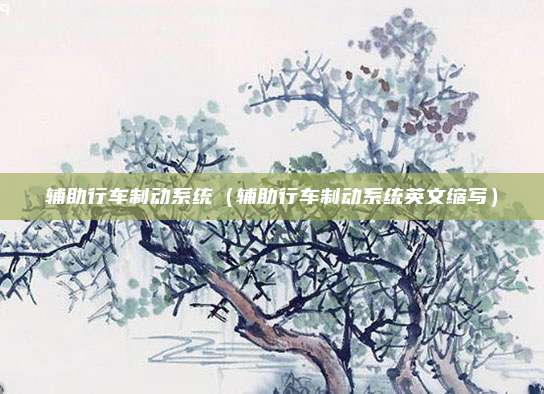 辅助行车制动系统(辅助行车制动系统英文缩写)