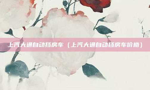 上汽大通自动挡房车(上汽大通自动挡房车价格)