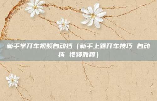 新手学开车视频自动挡（新手上路开车技巧 自动挡 视频教程）