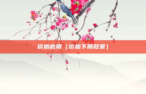 价格底限（价格下限政策）
