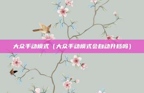 大众手动模式(大众手动模式会自动升档吗)
