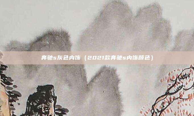 奔驰s灰色内饰(2021款奔驰s内饰颜色)