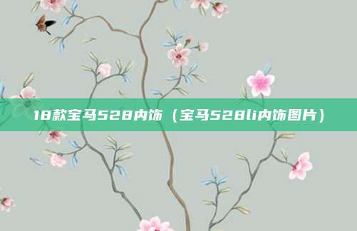 18款宝马528内饰（宝马528li内饰图片）