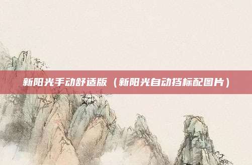 新阳光手动舒适版（新阳光自动挡标配图片）