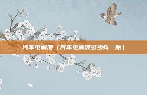 汽车电解液（汽车电解液多少钱一瓶）