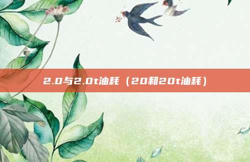 2.0与2.0t油耗（20和20t油耗）