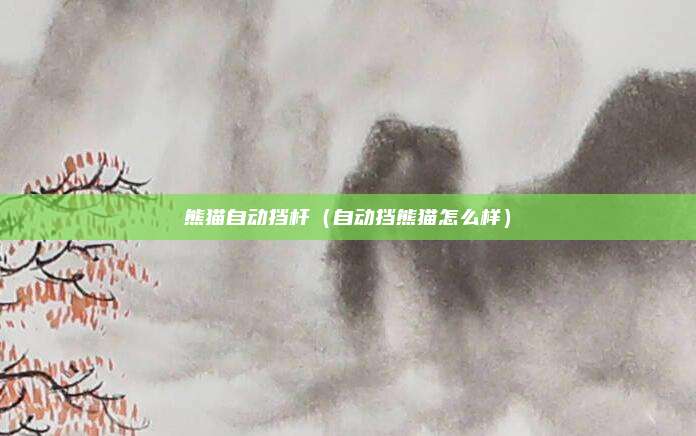 熊猫自动挡杆（自动挡熊猫怎么样）