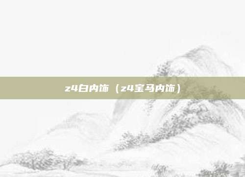z4白内饰（z4宝马内饰）