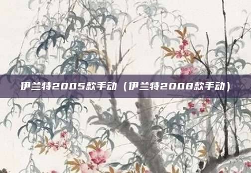 伊兰特2005款手动（伊兰特2008款手动）
