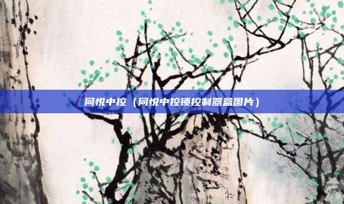 同悦中控（同悦中控锁控制器盒图片）