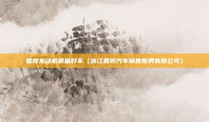 嘉领发动机质量好不（浙江嘉领汽车销售服务有限公司）