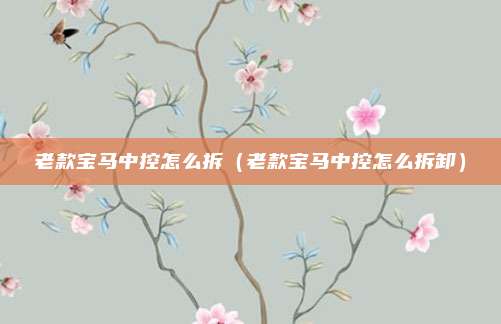 老款宝马中控怎么拆（老款宝马中控怎么拆卸）