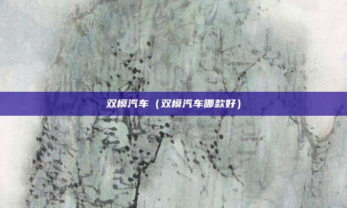 双模汽车（双模汽车哪款好）