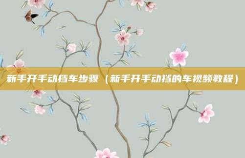 新手开手动挡车步骤（新手开手动挡的车视频教程）
