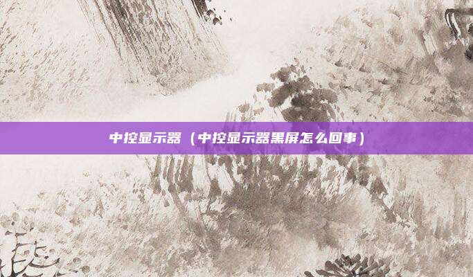 中控显示器（中控显示器黑屏怎么回事）