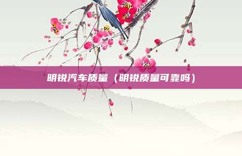 明锐汽车质量(明锐质量可靠吗)