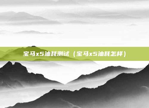 宝马x5油耗测试（宝马x5油耗怎样）