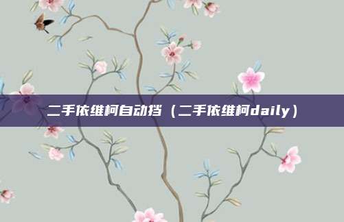 二手依维柯自动挡(二手依维柯daily)