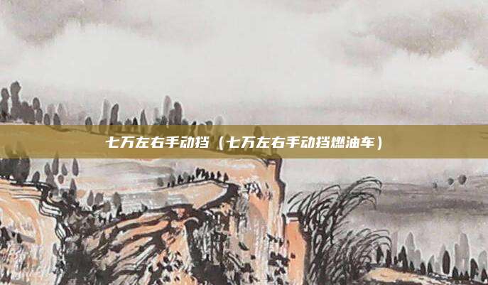 七万左右手动挡（七万左右手动挡燃油车）