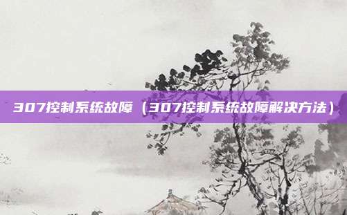 307控制系统故障(307控制系统故障解决方法)