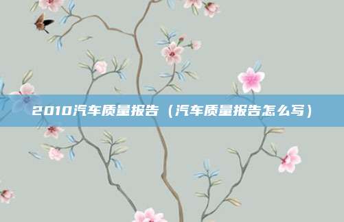 2010汽车质量报告(汽车质量报告怎么写)