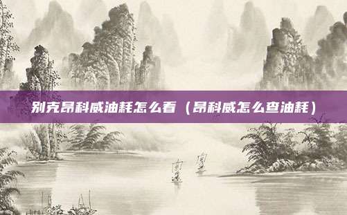别克昂科威油耗怎么看（昂科威怎么查油耗）