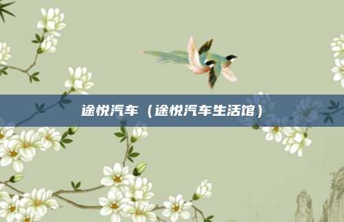 途悦汽车（途悦汽车生活馆）