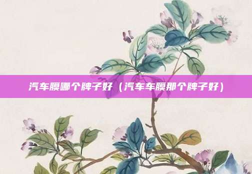汽车膜哪个牌子好（汽车车膜那个牌子好）