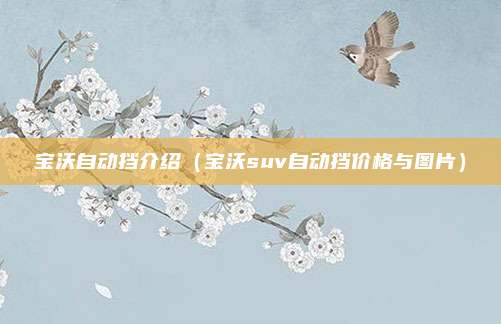 宝沃自动挡介绍（宝沃suv自动挡价格与图片）