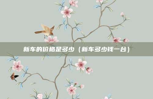新车的价格是多少（新车多少钱一台）