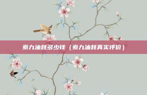 索九油耗多少钱（索九油耗真实评价）