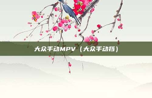 大众手动MPV(大众手动挡)