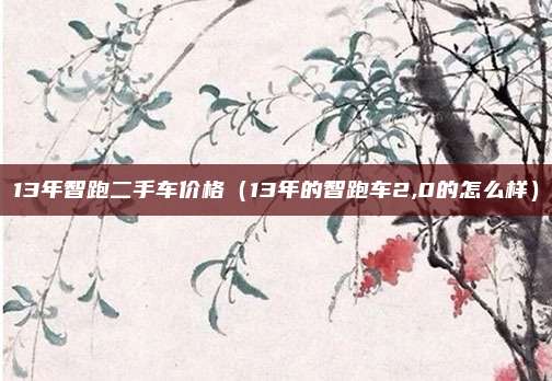 13年智跑二手车价格（13年的智跑车2,0的怎么样）