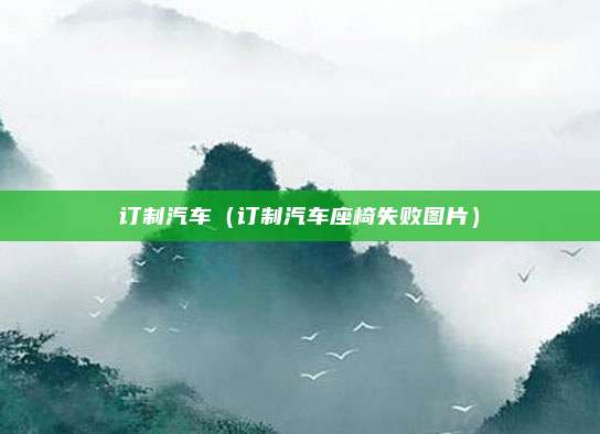 订制汽车（订制汽车座椅失败图片）