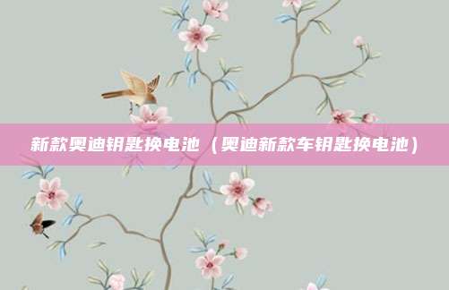 新款奥迪钥匙换电池（奥迪新款车钥匙换电池）
