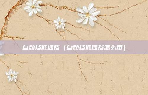 自动挡低速挡（自动挡低速挡怎么用）