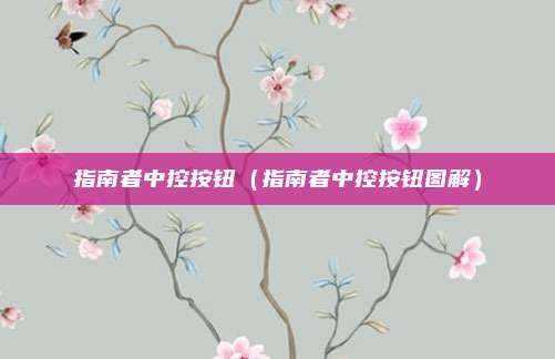 指南者中控按钮（指南者中控按钮图解）