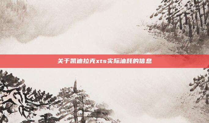 关于凯迪拉克xts实际油耗的信息