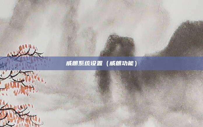 威朗系统设置（威朗功能）