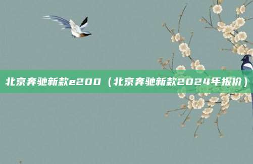 北京奔驰新款e200(北京奔驰新款2024年报价)