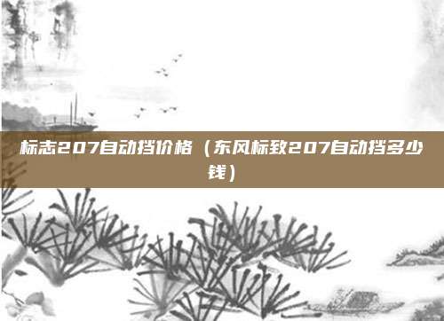标志207自动挡价格(东风标致207自动挡多少钱)