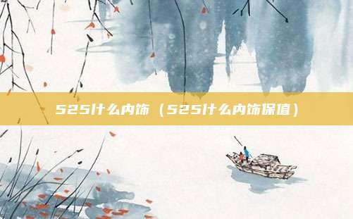 525什么内饰（525什么内饰保值）