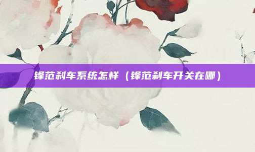 锋范刹车系统怎样(锋范刹车开关在哪)
