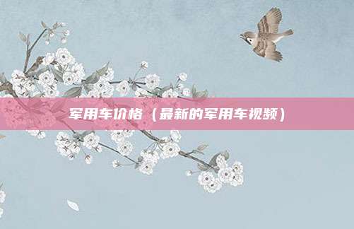 军用车价格（最新的军用车视频）