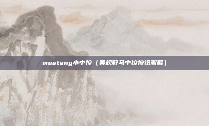 mustang小中控（美规野马中控按钮解释）
