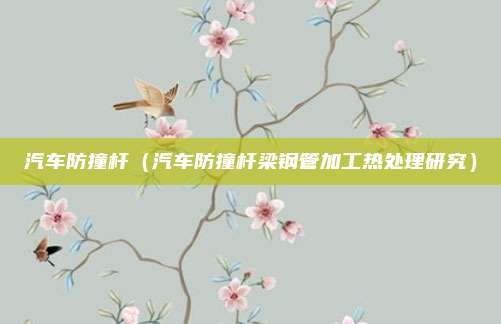 汽车防撞杆（汽车防撞杆梁钢管加工热处理研究）