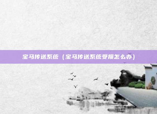 宝马传送系统(宝马传送系统受损怎么办)
